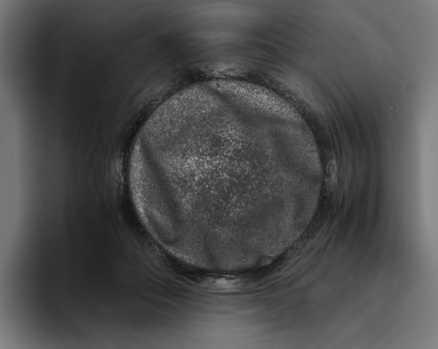 X0000094820506200712071248