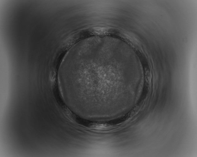 X0000094820507200712071248