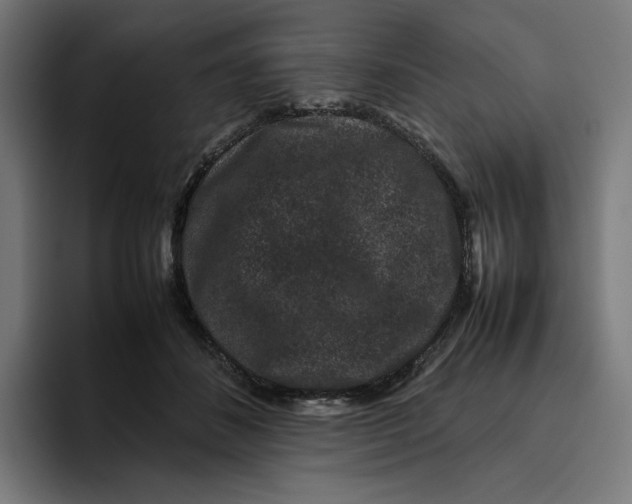 X0000094820508200712071248