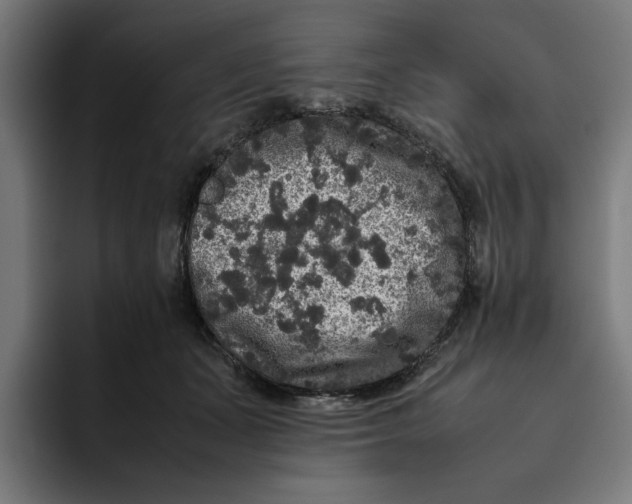 X0000094820511200712071248