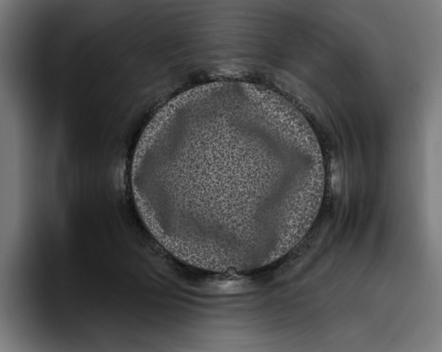 X0000094820514200712071248