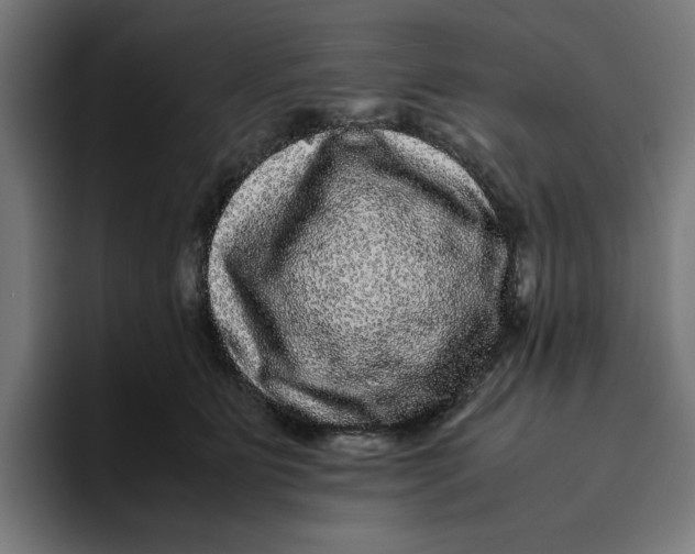 X0000094820515200712071248