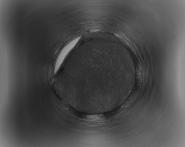 X0000094820516200712071248