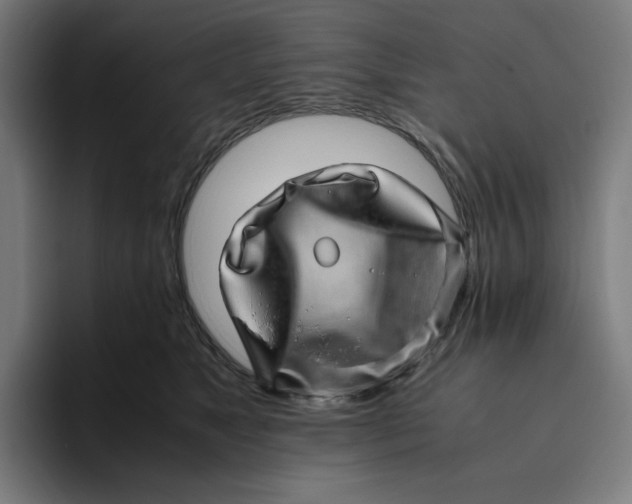 X0000094820517200712071248