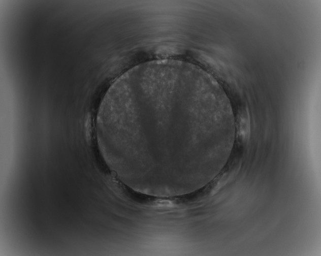 X0000094820519200712071248