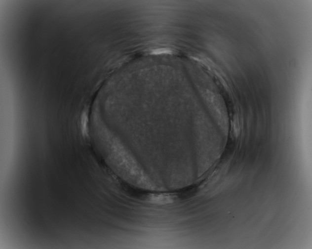 X0000094820520200712071248