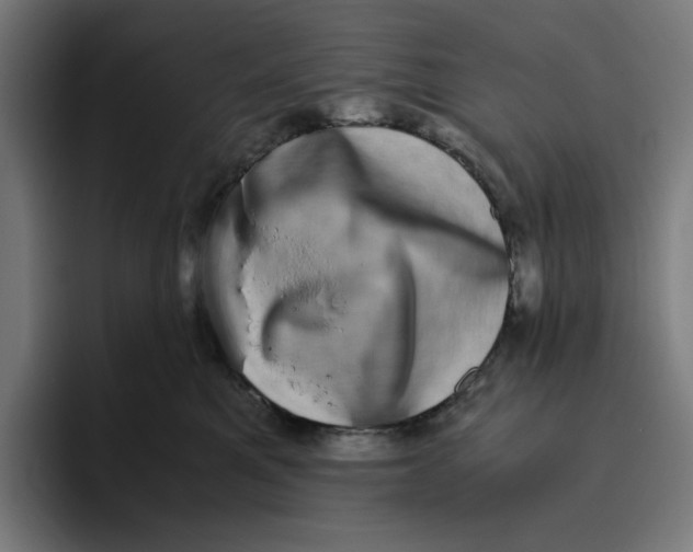 X0000094820521200712071248