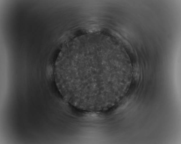 X0000094820523200712071248