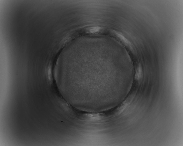 X0000094820524200712071248