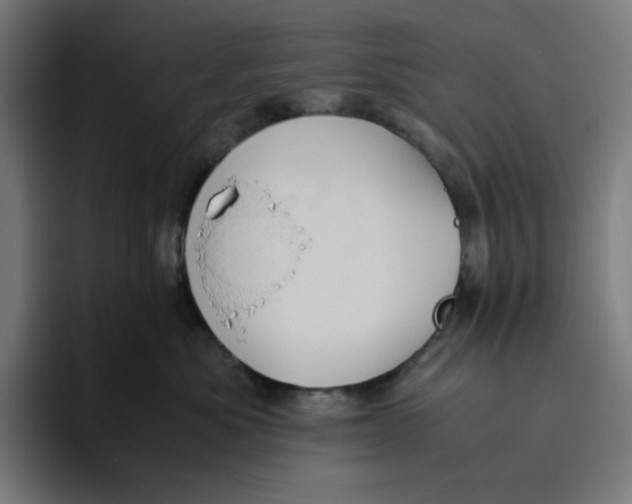 X0000094820525200712071248