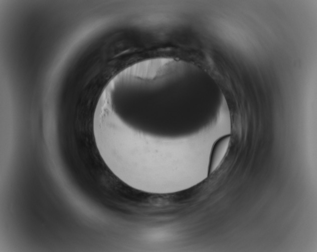 X0000094820526200712071248