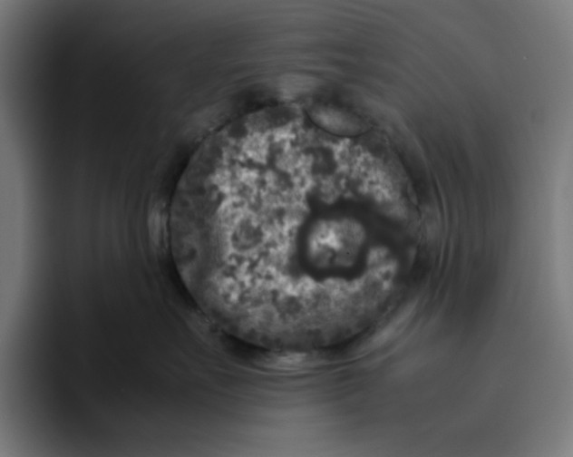 X0000094820527200712071248