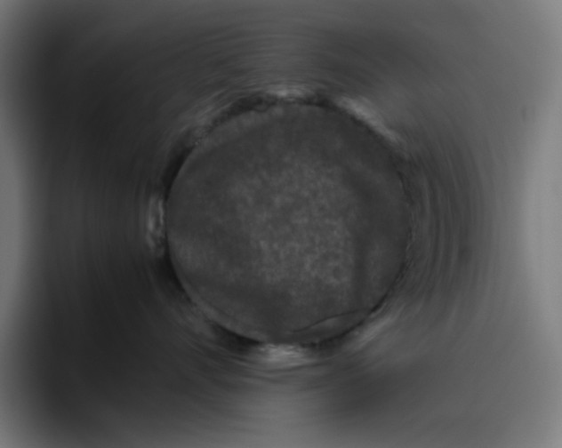 X0000094820528200712071248