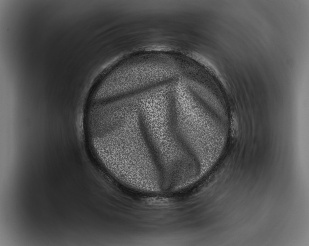 X0000094820535200712071248