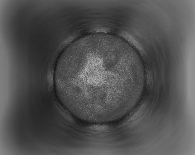 X0000094820537200712071248