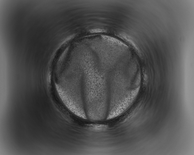 X0000094820539200712071248