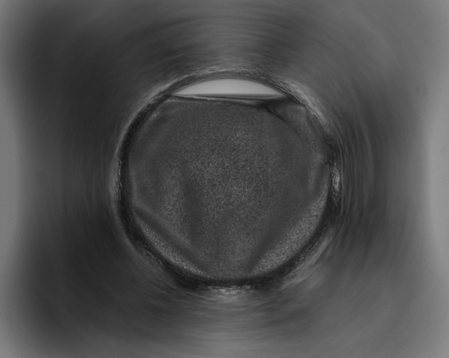 X0000094820540200712071248