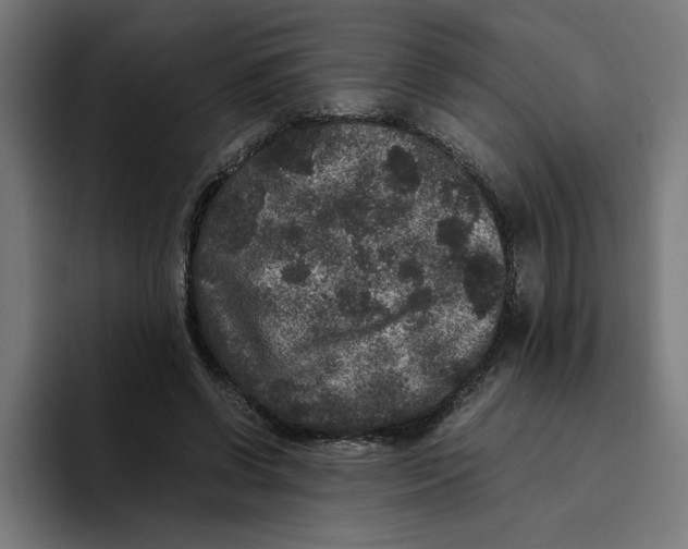 X0000094820542200712071248