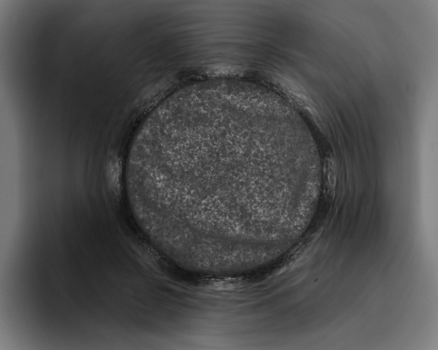 X0000094820550200712071248