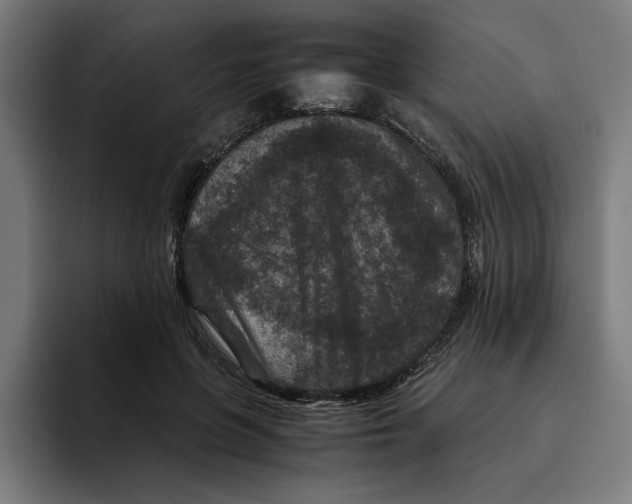 X0000094820551200712071248