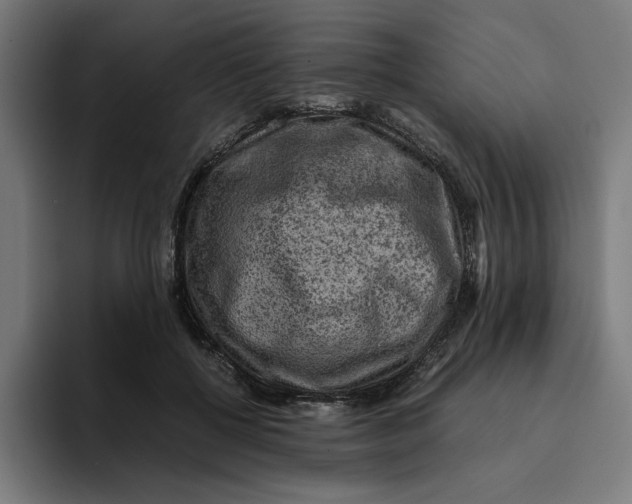 X0000094820552200712071248