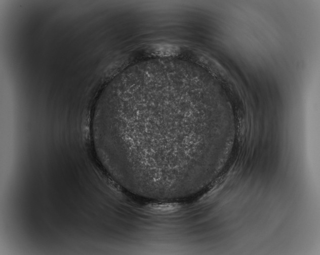 X0000094820553200712071248