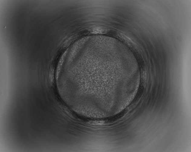 X0000094820554200712071248