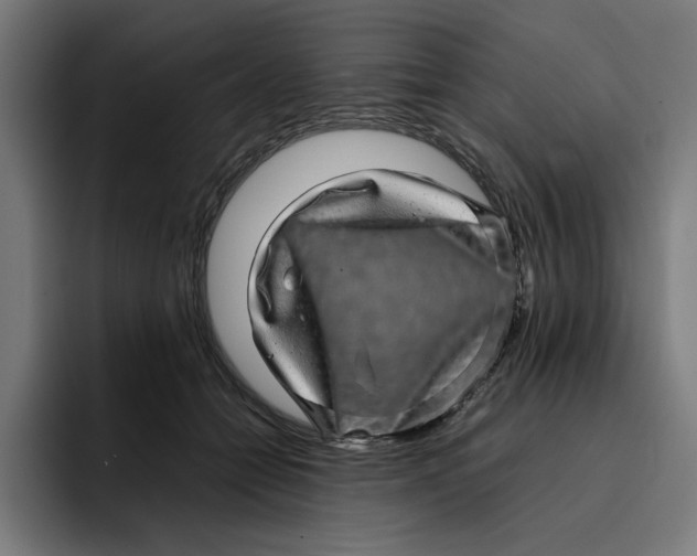 X0000094820558200712071248