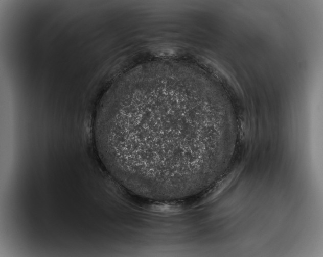 X0000094820561200712071248