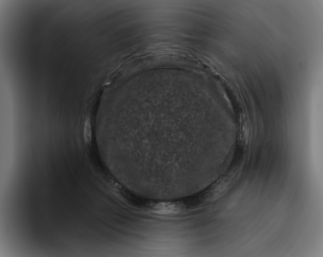 X0000094820562200712071248