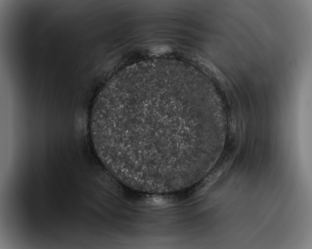 X0000094820565200712071248