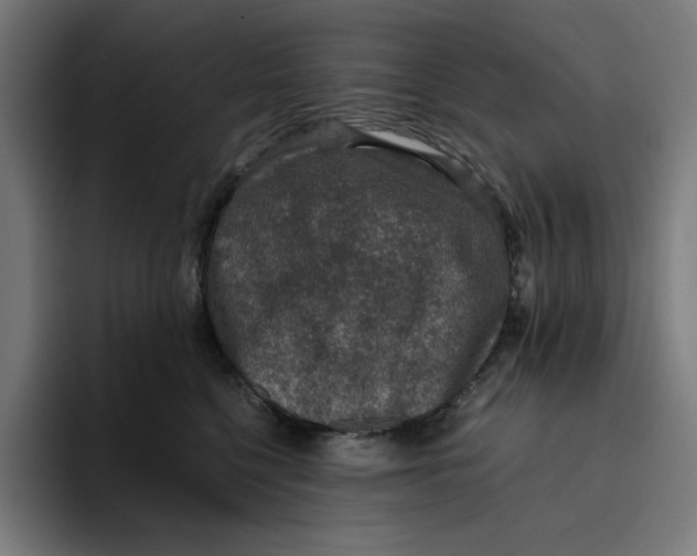 X0000094820568200712071248