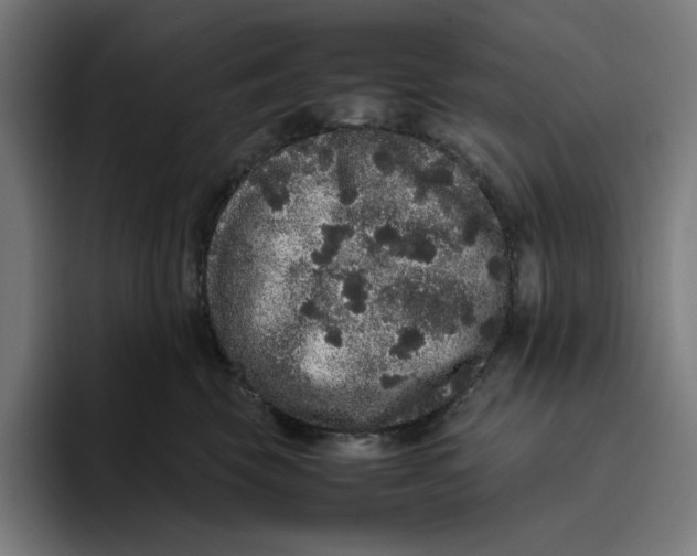 X0000094820569200712071248