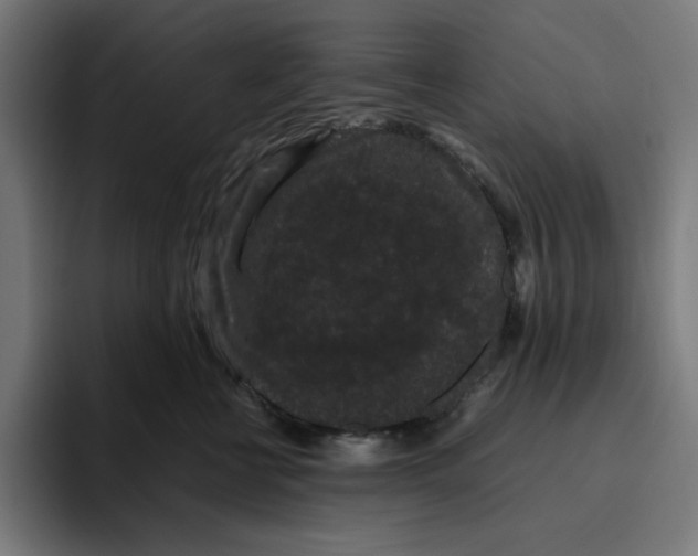 X0000094820570200712071248