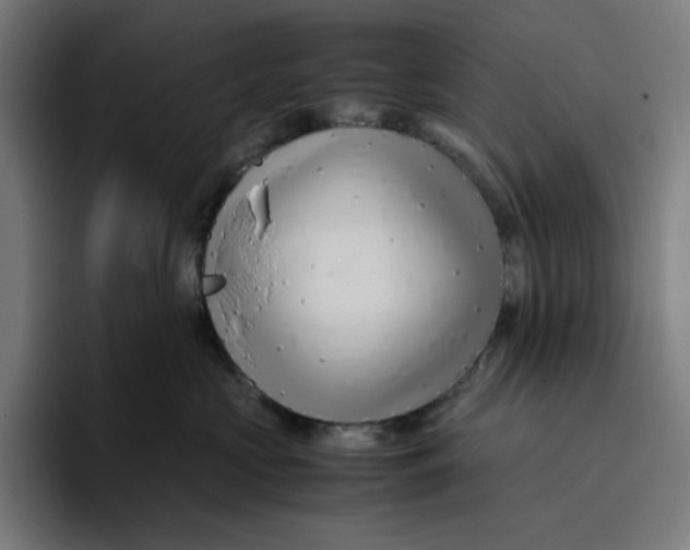 X0000094820573200712071248