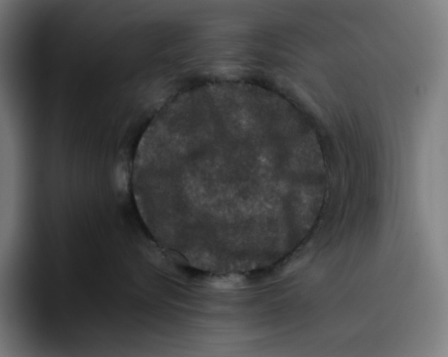 X0000094820576200712071248