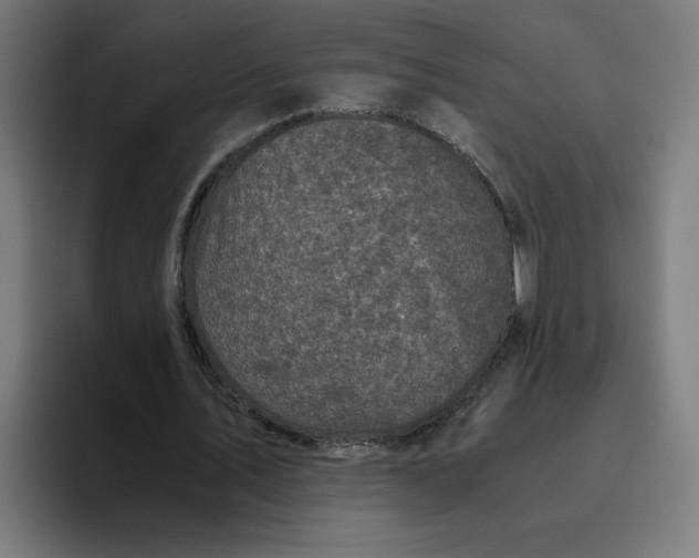 X0000094820579200712071247