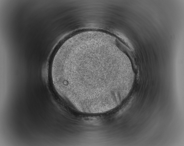 X0000094820580200712071247