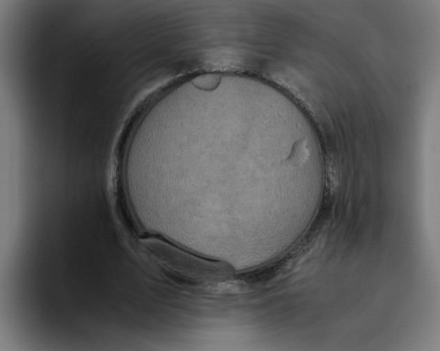 X0000094820583200712071247