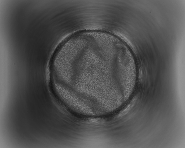 X0000094820584200712071247