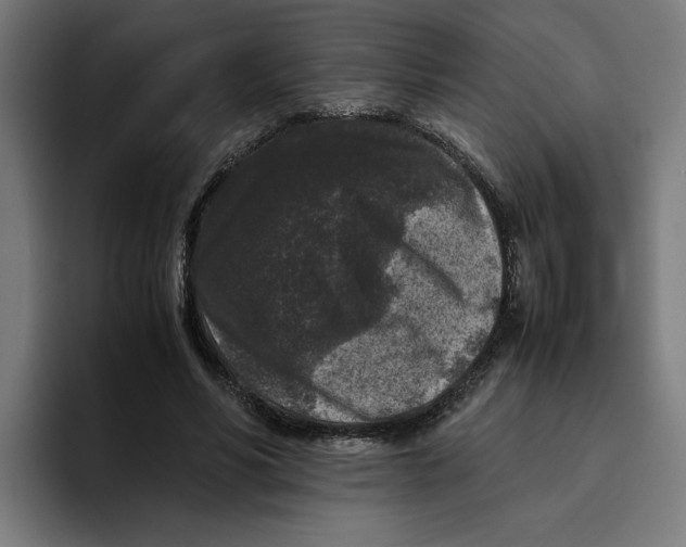 X0000094820590200712071247