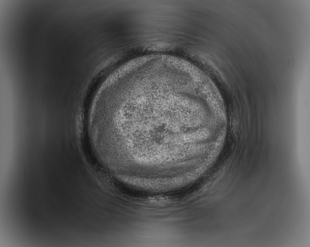 X0000094820591200712071247