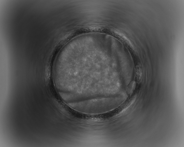 X0000094820593200712071247