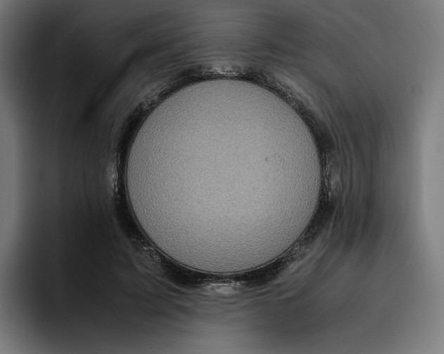 X0000094820595200712071247