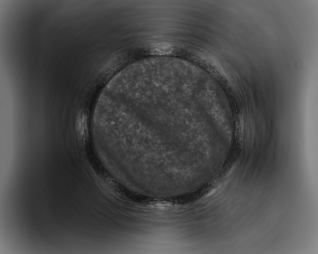 X0000094820598200712071247