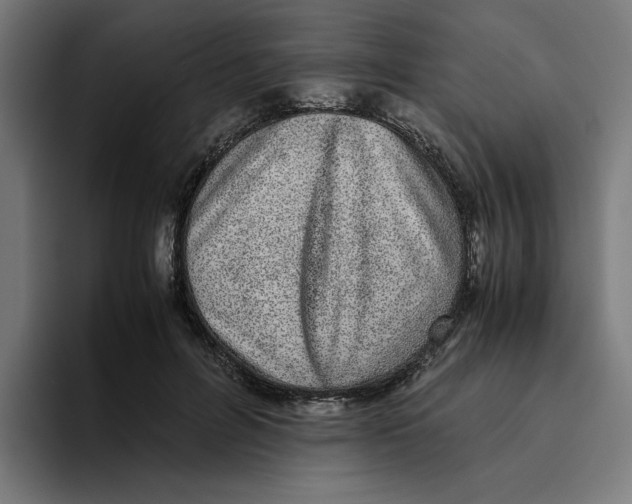 X0000094820600200712071247