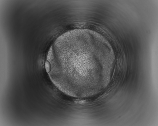 X0000094820602200712071247