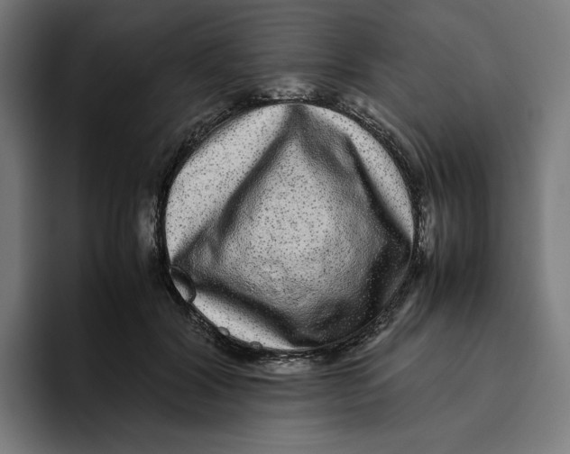 X0000094820604200712071247