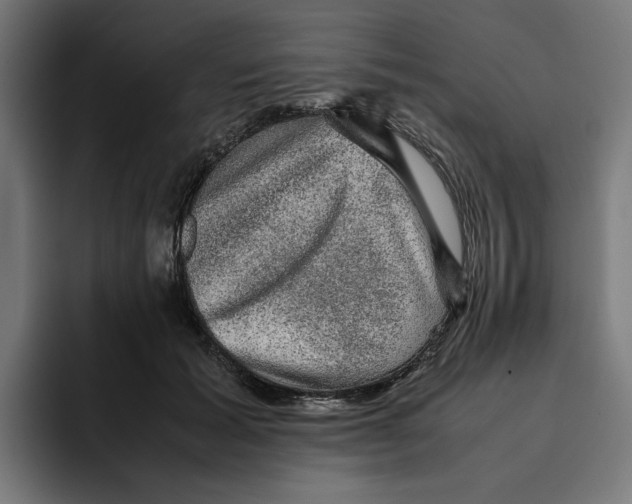 X0000094820605200712071247