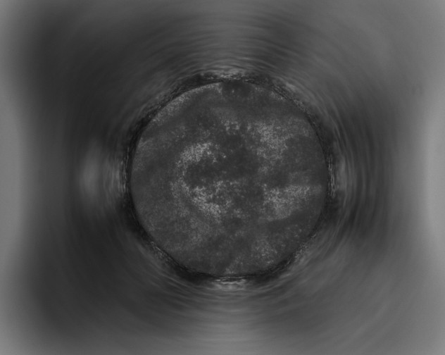 X0000094820606200712071247